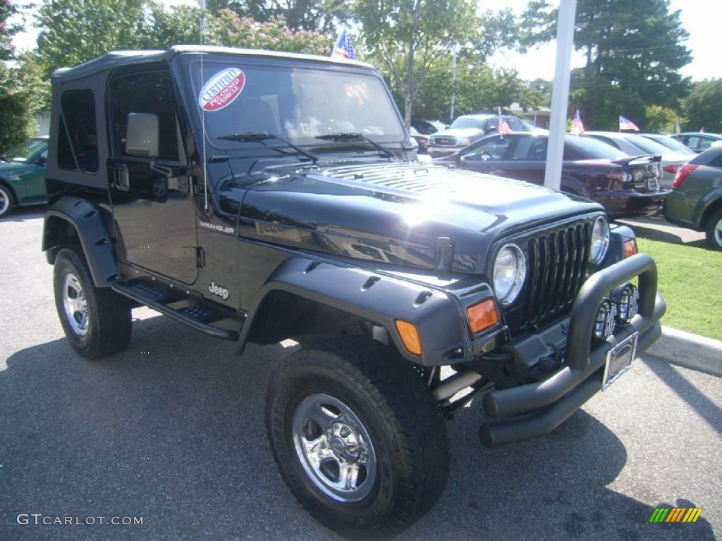 2002 Wrangler X 4x4 - Black / Camel Beige photo #7
