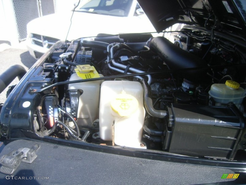 2002 Wrangler X 4x4 - Black / Camel Beige photo #11