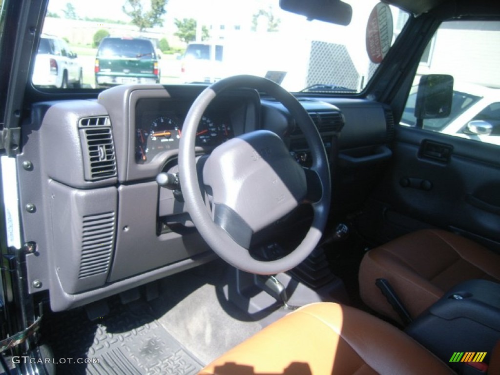 2002 Wrangler X 4x4 - Black / Camel Beige photo #19