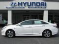 Porcelain White Pearl - Sonata Hybrid Photo No. 1