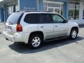 Liquid Silver Metallic - Envoy SLE Photo No. 11