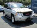 Liquid Silver Metallic - Envoy SLE Photo No. 14