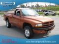 2000 Amber Fire Pearl Dodge Dakota Sport Regular Cab 4x4  photo #4