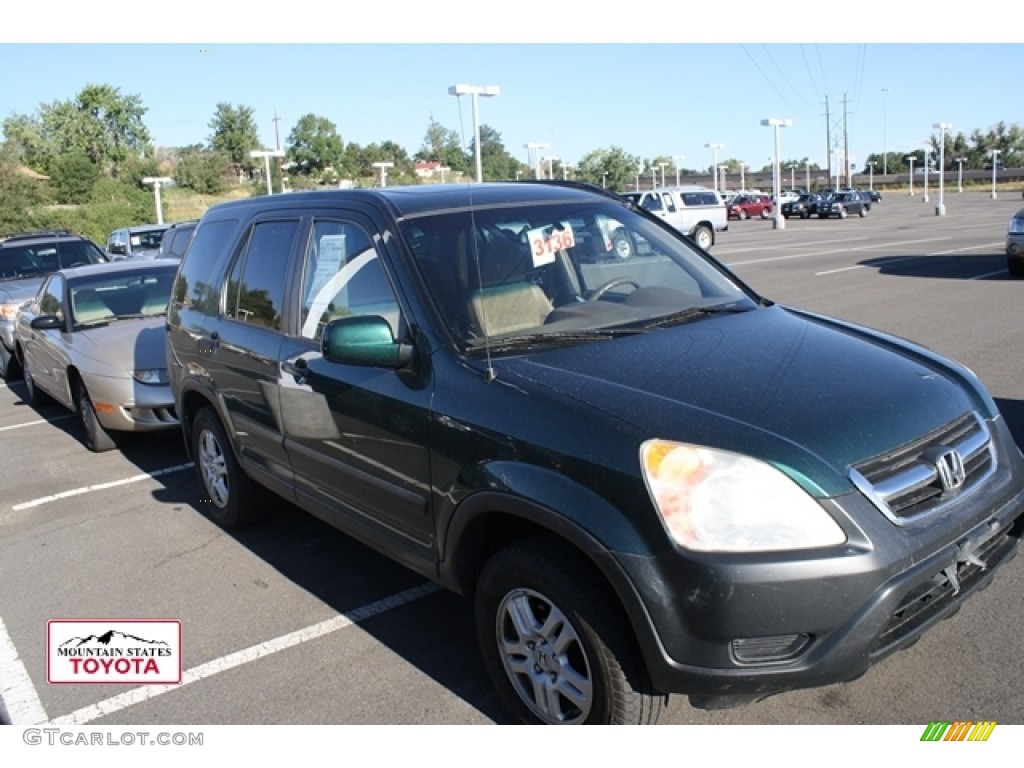 2004 CR-V EX 4WD - Clover Green Pearl / Saddle photo #1