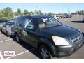 2004 Clover Green Pearl Honda CR-V EX 4WD  photo #1
