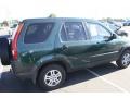 2004 Clover Green Pearl Honda CR-V EX 4WD  photo #2
