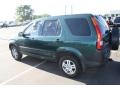 Clover Green Pearl - CR-V EX 4WD Photo No. 3