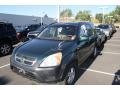 2004 Clover Green Pearl Honda CR-V EX 4WD  photo #4