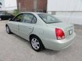 2004 Sea Shell Green Hyundai Elantra GLS Sedan  photo #10