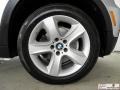 Titanium Silver Metallic - X5 3.0si Photo No. 36