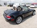 2002 Jet Black BMW Z3 3.0i Roadster  photo #8