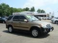 Sahara Sand Metallic - CR-V EX 4WD Photo No. 1