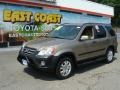 Sahara Sand Metallic - CR-V EX 4WD Photo No. 3