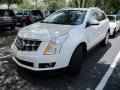 Platinum Ice Tricoat - SRX V6 Photo No. 4