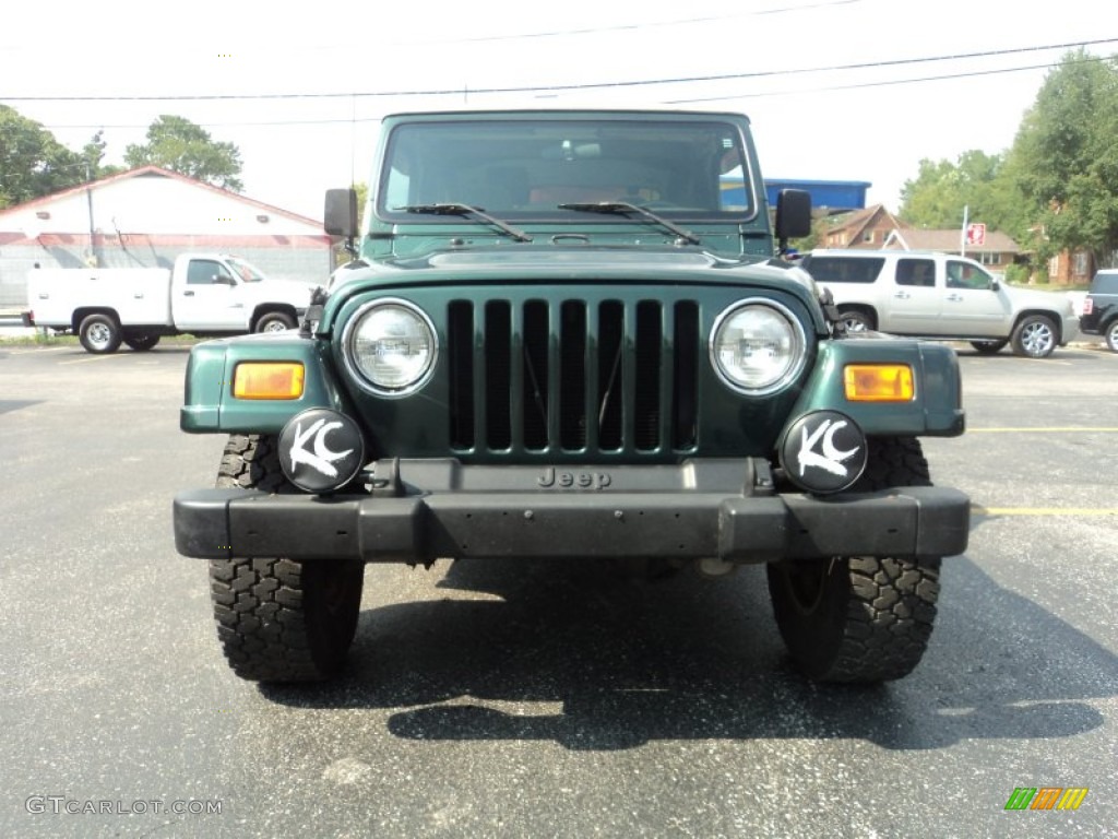 2001 Wrangler Sahara 4x4 - Forest Green / Camel/Dark Green photo #3