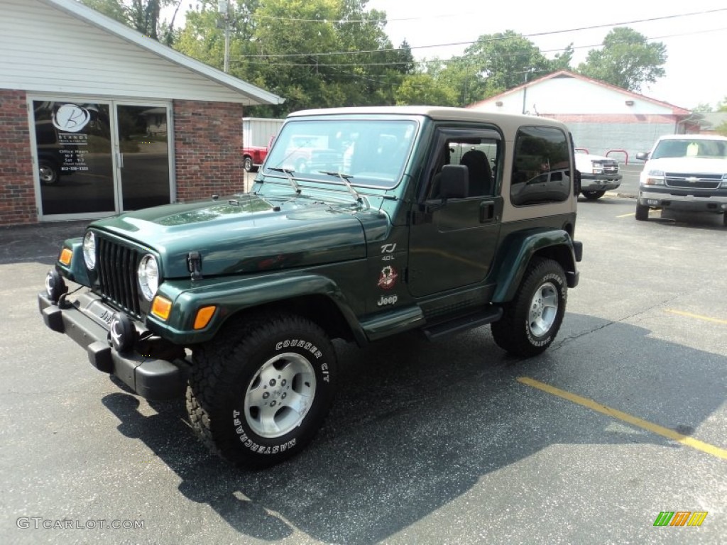2001 Wrangler Sahara 4x4 - Forest Green / Camel/Dark Green photo #4