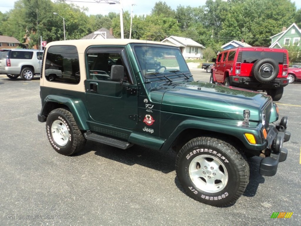 2001 Wrangler Sahara 4x4 - Forest Green / Camel/Dark Green photo #5