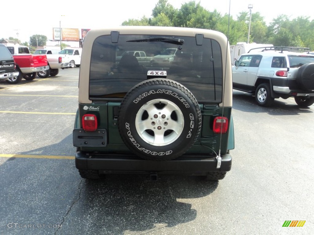 2001 Wrangler Sahara 4x4 - Forest Green / Camel/Dark Green photo #8