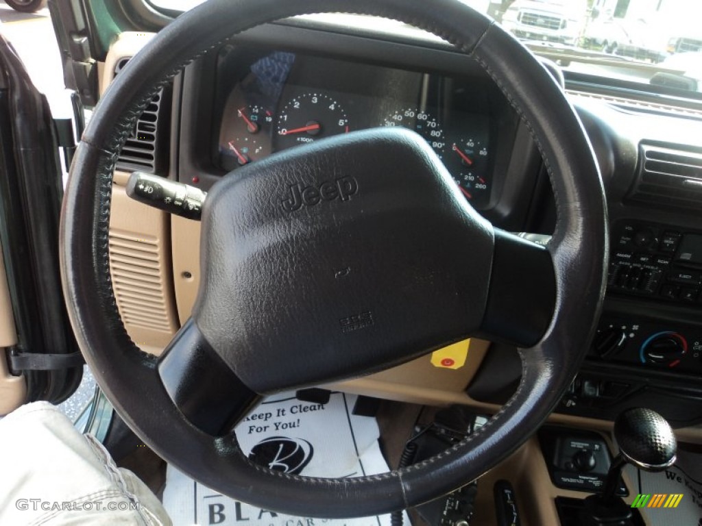 2001 Wrangler Sahara 4x4 - Forest Green / Camel/Dark Green photo #14