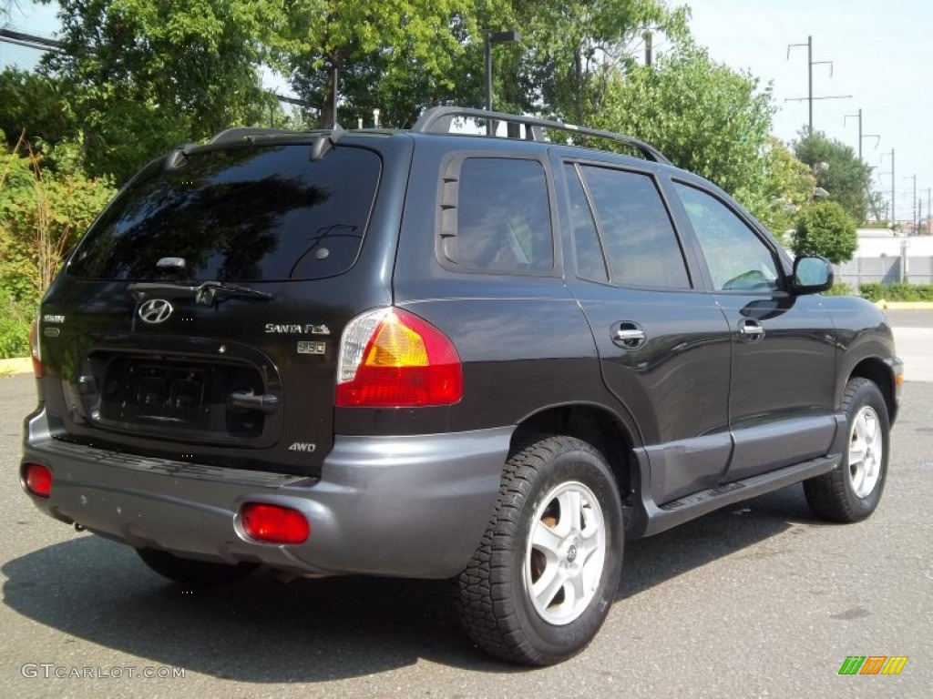 2004 Santa Fe LX 4WD - Black Obsidian / Gray photo #5