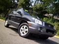 2004 Black Obsidian Hyundai Santa Fe LX 4WD  photo #22