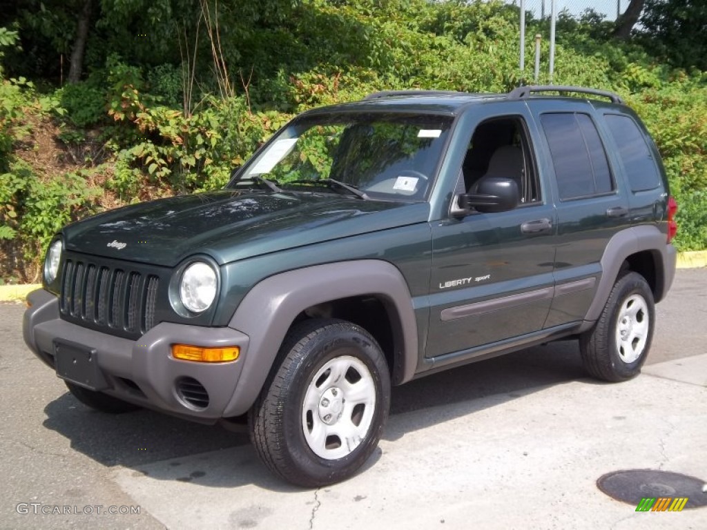 2002 Liberty Sport 4x4 - Shale Green Metallic / Dark Slate Gray photo #1