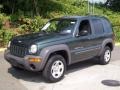 2002 Shale Green Metallic Jeep Liberty Sport 4x4  photo #1