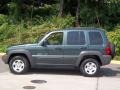 2002 Shale Green Metallic Jeep Liberty Sport 4x4  photo #2