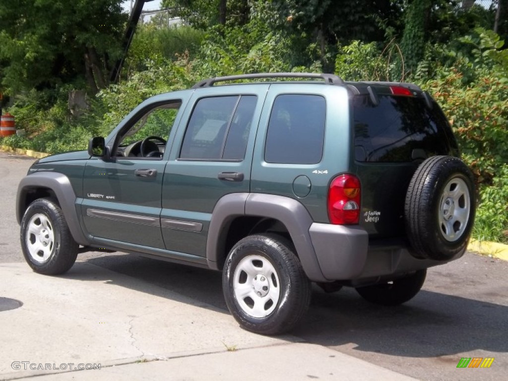 2002 Liberty Sport 4x4 - Shale Green Metallic / Dark Slate Gray photo #3