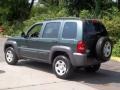2002 Shale Green Metallic Jeep Liberty Sport 4x4  photo #3