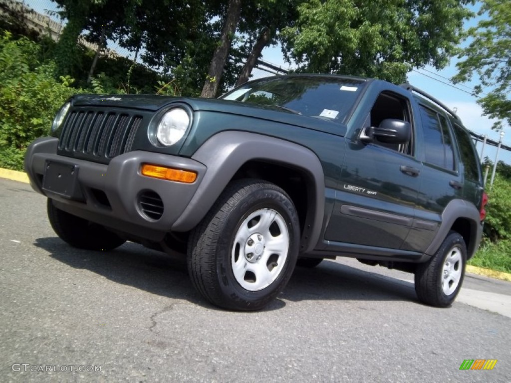 2002 Liberty Sport 4x4 - Shale Green Metallic / Dark Slate Gray photo #16
