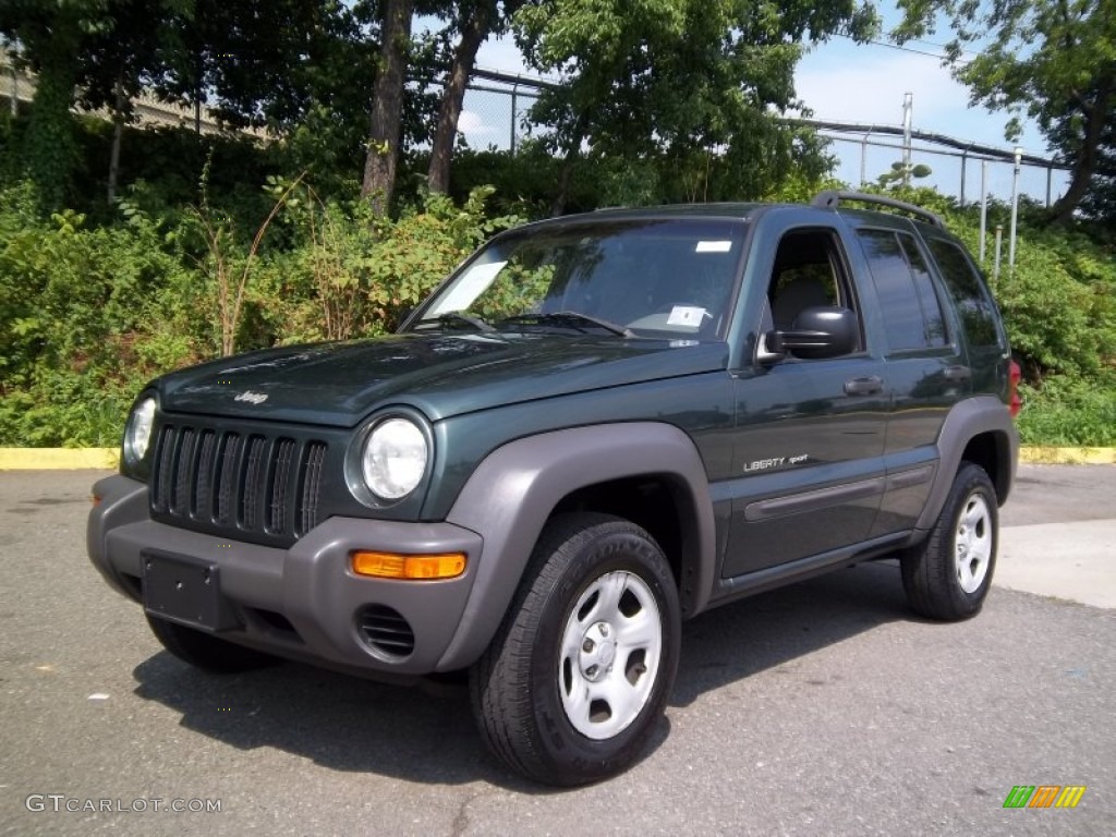2002 Liberty Sport 4x4 - Shale Green Metallic / Dark Slate Gray photo #17