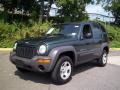 2002 Shale Green Metallic Jeep Liberty Sport 4x4  photo #17