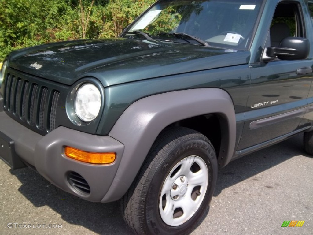2002 Liberty Sport 4x4 - Shale Green Metallic / Dark Slate Gray photo #18