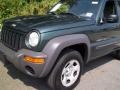 2002 Shale Green Metallic Jeep Liberty Sport 4x4  photo #18