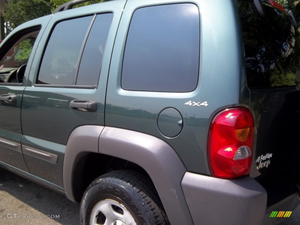 2002 Liberty Sport 4x4 - Shale Green Metallic / Dark Slate Gray photo #19