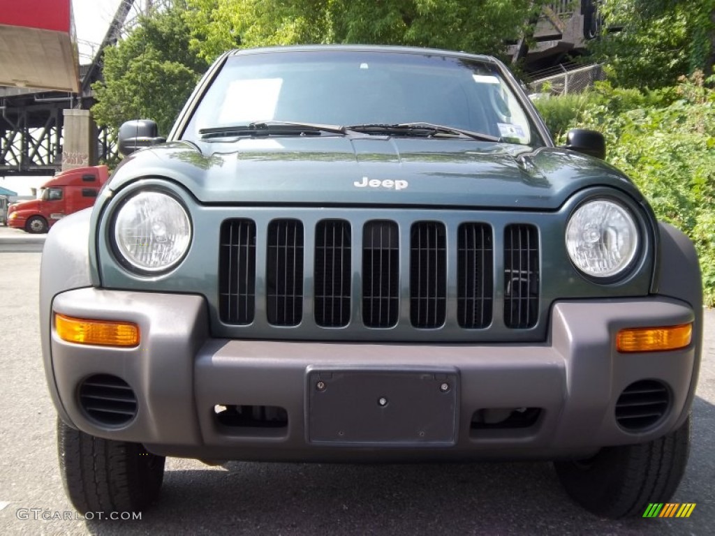 2002 Liberty Sport 4x4 - Shale Green Metallic / Dark Slate Gray photo #20
