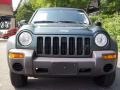 2002 Shale Green Metallic Jeep Liberty Sport 4x4  photo #20