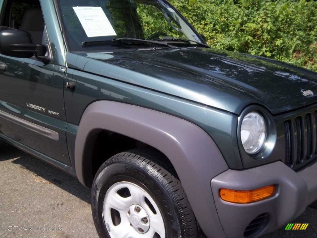 2002 Liberty Sport 4x4 - Shale Green Metallic / Dark Slate Gray photo #21