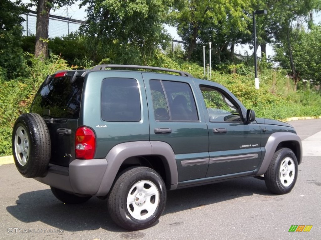 2002 Liberty Sport 4x4 - Shale Green Metallic / Dark Slate Gray photo #23