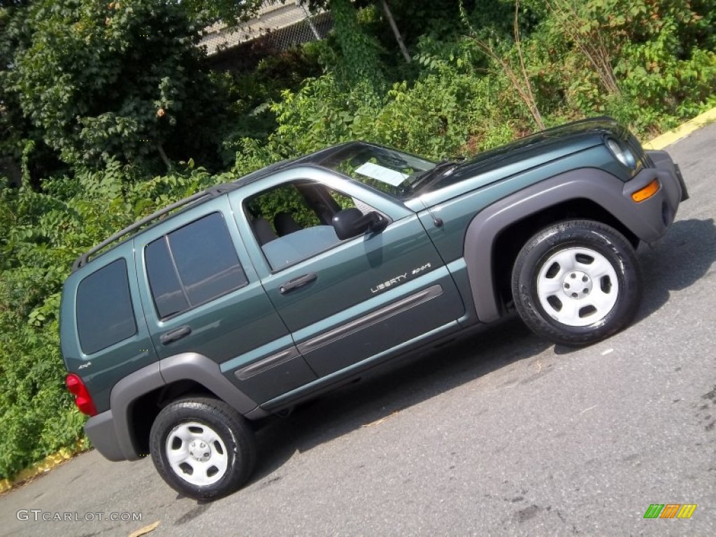 2002 Liberty Sport 4x4 - Shale Green Metallic / Dark Slate Gray photo #24