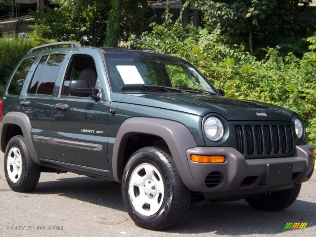 2002 Liberty Sport 4x4 - Shale Green Metallic / Dark Slate Gray photo #25