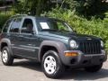 2002 Shale Green Metallic Jeep Liberty Sport 4x4  photo #25