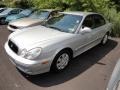 Brilliant Silver - Sonata  Photo No. 3