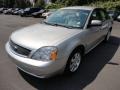 2006 Silver Birch Metallic Ford Five Hundred SE AWD  photo #3