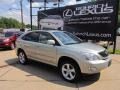 Bamboo Green Pearl - RX 350 AWD Photo No. 1