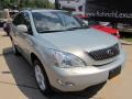 Bamboo Green Pearl - RX 350 AWD Photo No. 2