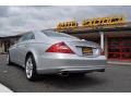 Iridium Silver Metallic - CLS 500 Photo No. 4