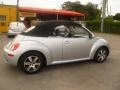 Reflex Silver - New Beetle 2.5 Convertible Photo No. 11