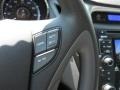Radiant Silver - Sonata GLS Photo No. 9